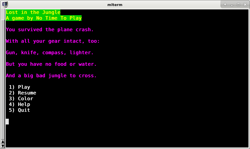 Screenshot of a text-based adventure game running in a terminal emulator, showing an intro, menu and colorful user interface.